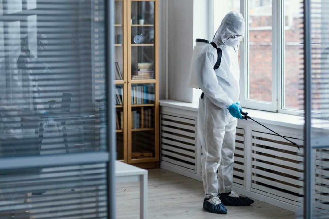 Pest control in Mumbai